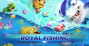 Responsible gaming advice inside cj444 live casino hub for adult users